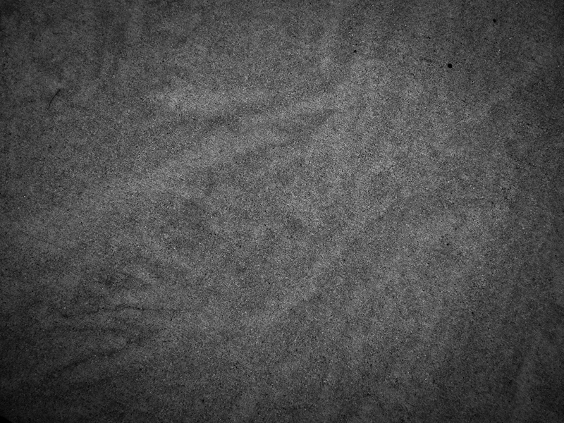 P1050308