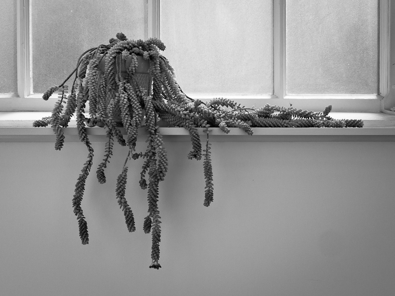 P1050908