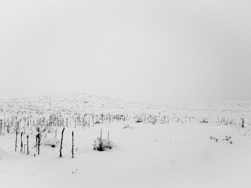 P1050946