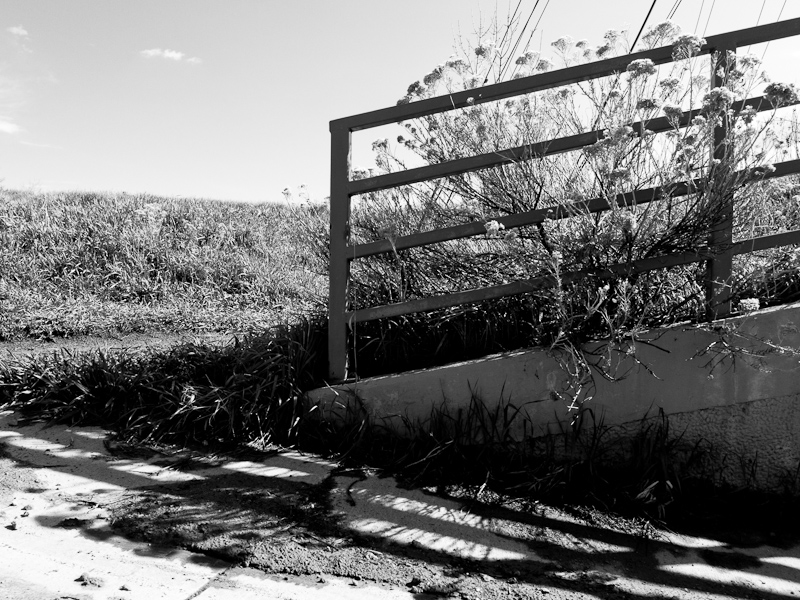 P1060145