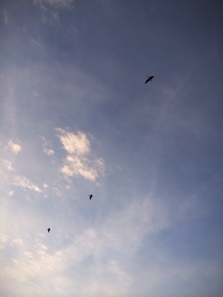 20140124-164212.jpg